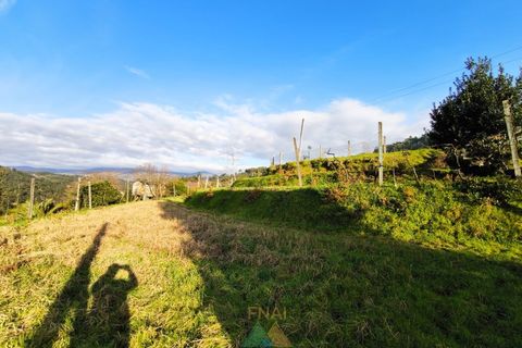 Terra a Azere, Viana do Castelo, Azere - € 78.000 | Ref: AVV-012-008 - foto 10