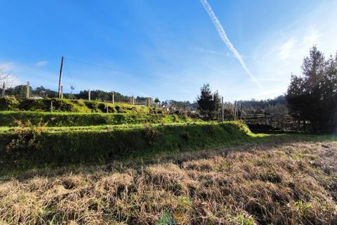 Terra a Azere, Viana do Castelo, Azere - € 78.000 | Ref: AVV-012-008 - foto 11