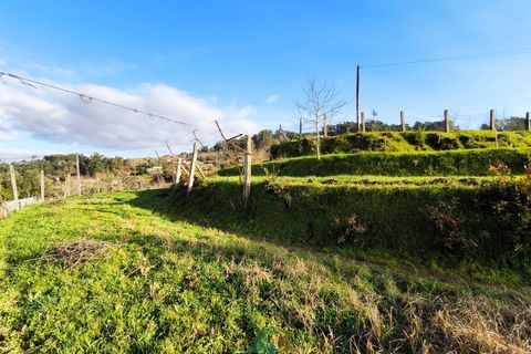 Terra a Azere, Viana do Castelo, Azere - € 78.000 | Ref: AVV-012-008 - foto 12