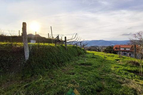 Terra a Azere, Viana do Castelo, Azere - € 78.000 | Ref: AVV-012-008 - foto 13