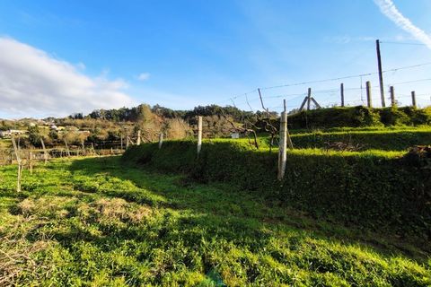 Terra a Azere, Viana do Castelo, Azere - € 78.000 | Ref: AVV-012-008 - foto 14