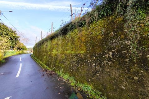 Terra a Azere, Viana do Castelo, Azere - € 78.000 | Ref: AVV-012-008 - foto 16