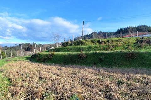 Terra a Azere, Viana do Castelo, Azere - € 78.000 | Ref: AVV-012-008 - foto 18