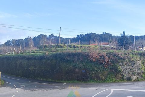 Terra a Azere, Viana do Castelo, Azere - € 78.000 | Ref: AVV-012-008 - foto 19