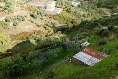 Villa a Covilha, Castelo Branco, Covilha - € 109.000 | Ref: 255240209 - foto 25