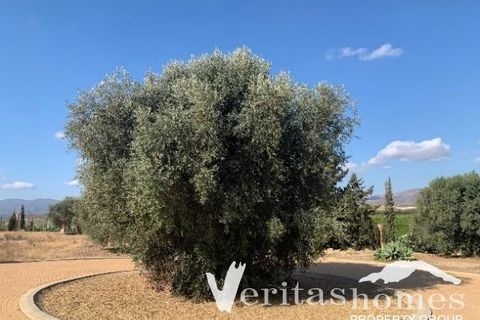 Villa a Vera, Almeria, Vera - € 1.150.000 | Ref: VHVL 2664 - foto 18