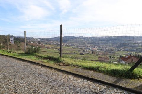 Terra a Airaes, Porto, Airaes - € 59.000 | Ref: TER_26 - foto 5