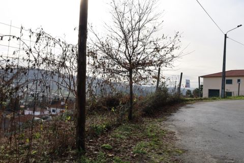 Terra a Airaes, Porto, Airaes - € 59.000 | Ref: TER_26 - foto 9