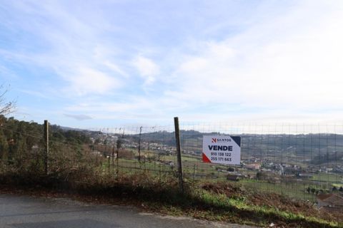 Terra a Airaes, Porto, Airaes - € 59.000 | Ref: TER_26 - foto 10
