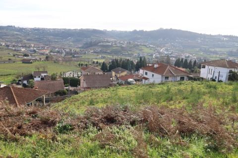 Terra a Airaes, Porto, Airaes - € 59.000 | Ref: TER_26 - foto 13
