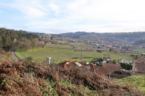 Terra a Airaes, Porto, Airaes - € 59.000 | Ref: TER_26 - foto 14