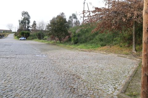 Terra a Airaes, Porto, Airaes - € 59.000 | Ref: TER_26 - foto 15