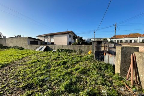 Helårsgrund i Murtosa, Aveiro, Murtosa - € 30.000 | Ref: 565 - foto 3
