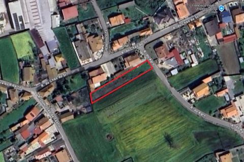 Helårsgrund i Murtosa, Aveiro, Murtosa - € 30.000 | Ref: 565 - foto 7