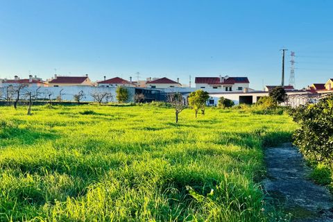 Villa a Entroncamento, Santarem, Entroncamento - € 625.000 | Ref: VCP418 - foto 18
