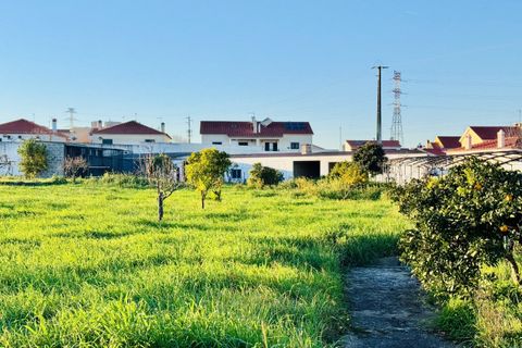 Villa a Entroncamento, Santarem, Entroncamento - € 625.000 | Ref: VCP418 - foto 19