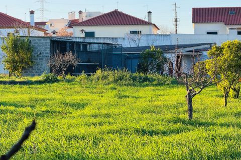 Villa a Entroncamento, Santarem, Entroncamento - € 625.000 | Ref: VCP418 - foto 22