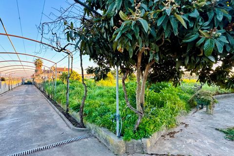 Villa a Entroncamento, Santarem, Entroncamento - € 625.000 | Ref: VCP418 - foto 33
