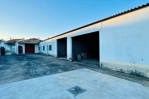 Villa a Entroncamento, Santarem, Entroncamento - € 625.000 | Ref: VCP418 - foto 35