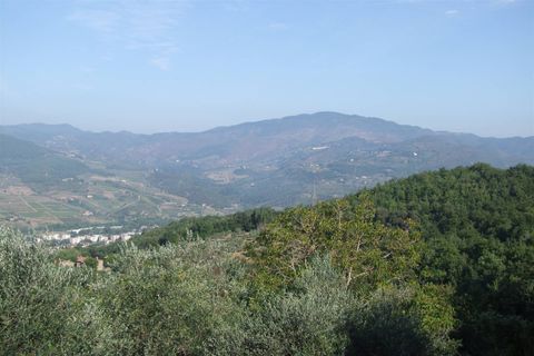 Landejendom i Rufina, Florence, Rufina - € 630.000 | Ref: a6273rc1993165a - foto 12