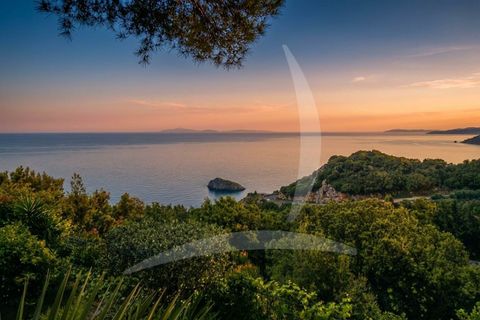 Villa i Monte Argentario, Grosseto, Monte Argentario - € 3.800.000 | Ref: a1190rv54891 - foto 8