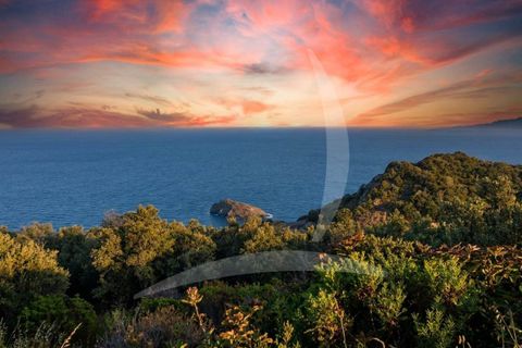 Villa i Monte Argentario, Grosseto, Monte Argentario - € 3.800.000 | Ref: a1190rv54891 - foto 23