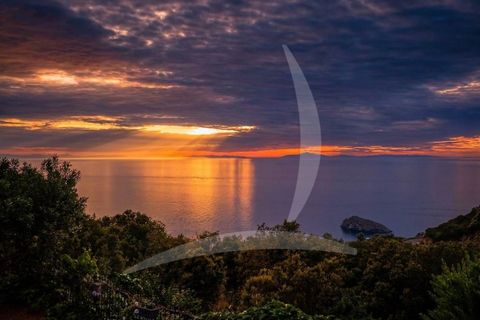Villa i Monte Argentario, Grosseto, Monte Argentario - € 3.800.000 | Ref: a1190rv54891 - foto 26