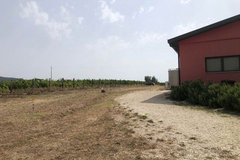 Farm hus i Scansano, Grosseto, Scansano - € 1.200.000 | Ref: a7631ta2014348a - foto 11