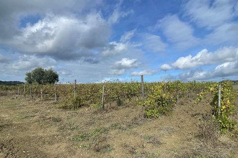 Farm hus i Scansano, Grosseto, Scansano - € 1.200.000 | Ref: a7631ta2014348a - foto 24