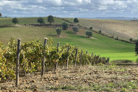 Farm hus i Scansano, Grosseto, Scansano - € 1.200.000 | Ref: a7631ta2014348a - foto 27