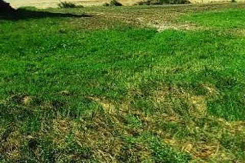 Landejendom i Pienza, Siena, Pienza - € 450.000 | Ref: a2617rc1763489a - foto 21
