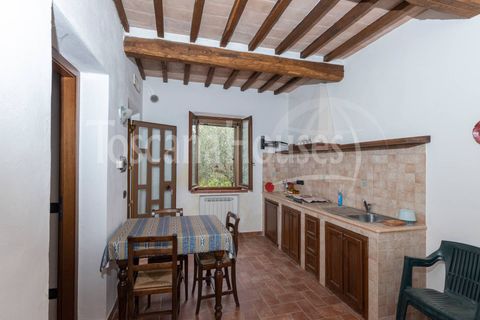 Gårdshus i Chiusi, Siena, Chiusi - € 650 000 | Ref: a1190rc56856 - foto 30