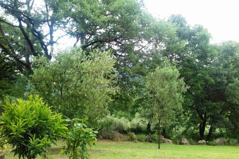 Landejendom i Radicofani, Siena, Radicofani - € 390.000 | Ref: a2617rc2008736a - foto 10
