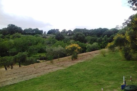 Landejendom i Radicofani, Siena, Radicofani - € 390.000 | Ref: a2617rc2008736a - foto 15