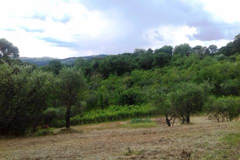 Landejendom i Radicofani, Siena, Radicofani - € 390.000 | Ref: a2617rc2008736a - foto 18