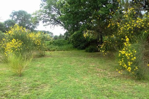Landejendom i Radicofani, Siena, Radicofani - € 390.000 | Ref: a2617rc2008736a - foto 19