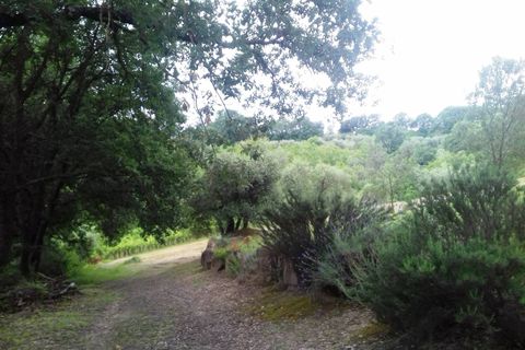 Landejendom i Radicofani, Siena, Radicofani - € 390.000 | Ref: a2617rc2008736a - foto 20