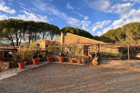 Gårdshus i Roccastrada, Grosseto, Roccastrada - € 1 590 000 | Ref: a7631ta2405993a - foto 6