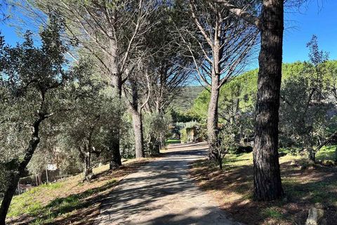 Gårdshus i Roccastrada, Grosseto, Roccastrada - € 1 590 000 | Ref: a7631ta2405993a - foto 27