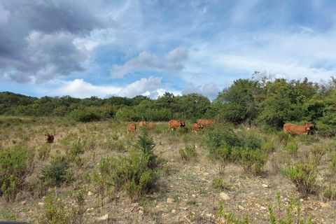 Farm hus i Scansano, Grosseto, Scansano - € 650.000 | Ref: a7631ta2269242a - foto 21