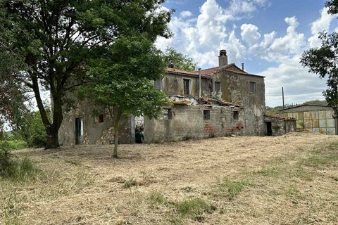 Farm hus i Scansano, Grosseto, Scansano - € 650.000 | Ref: a7631ta2269242a - foto 2
