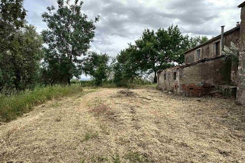 Farm hus i Scansano, Grosseto, Scansano - € 650.000 | Ref: a7631ta2269242a - foto 11