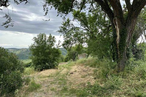 Farm hus i Scansano, Grosseto, Scansano - € 650.000 | Ref: a7631ta2269242a - foto 18