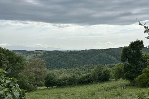 Farm hus i Scansano, Grosseto, Scansano - € 650.000 | Ref: a7631ta2269242a - foto 24