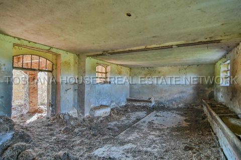 Farm hus i Trequanda, Siena, Trequanda - € 735.000 | Ref: a1190ta47078 - foto 16