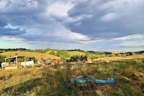 Farm hus i Siena, Siena, Siena - € 500.000 | Ref: a9756ta2368564a - foto 5