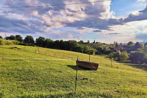 Farm hus i Siena, Siena, Siena - € 500.000 | Ref: a9756ta2368564a - foto 11
