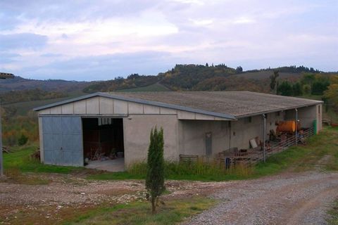 Farm hus i Asciano, Siena, Asciano - € 1.000.000 | Ref: a6380ta790125a - foto 5