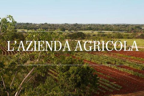 Farm hus i Capalbio, Grosseto, Capalbio - € 1.250.000 | Ref: a7631ta2272241a - foto 1