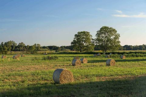 Farm hus i Capalbio, Grosseto, Capalbio - € 1.250.000 | Ref: a7631ta2272241a - foto 3